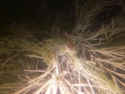 immersioni-estate22 11